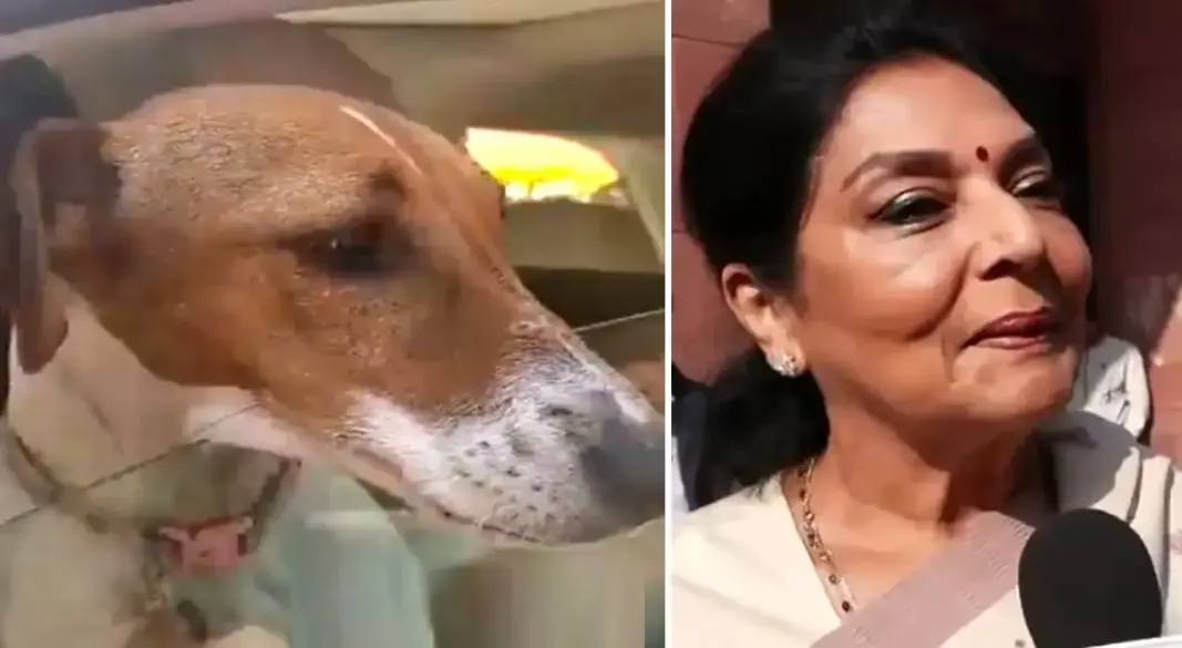 संसद परिसर में कुत्ता लेकर पहुंचीं कांग्रेस सांसद रेणुका चौधरी